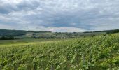 Excursión Senderismo Azy-sur-Marne - Bonneil  - Photo 5