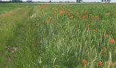 Randonnée Marche Belœil - Les amis de la nature d’Ath - Photo 13