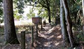 Randonnée Marche Grammont - Promenade sur des rondins de bois à Idegem - Photo 11