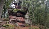 Trail Horseback riding Obersteinbach - suuntoapp-HorsebackRiding-2024-09-30T07-27-07Z - Photo 6