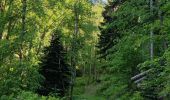 Tour Mountainbike Urbach bei Kaysersberg - Fréland - Kaysersberg - Photo 1