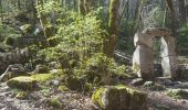 Excursión Senderismo Plateau-des-Petites-Roches - St Hilaire du Touvet_Moulin de Porte-Traine_Cascade des Dioux - Photo 1