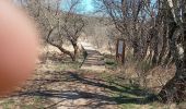 Trail Walking Rosis - Caroux douch - Photo 2