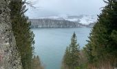 Trail Walking Besse-et-Saint-Anastaise - Les 3 lacs et la cascade  - Photo 3