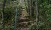 Trail Walking Vianden - vianden . stolzemmbour  - Photo 17