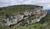 Percorso Marcia Belcodène - La grotte du tonneau - Photo 4