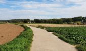 Tocht Elektrische fiets Ronse - Renaix - Berchem - Domaine de Ghellinck - Golf des Ardennes flamandes - Photo 19