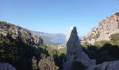 Trail Walking Baunei - Cala Sisine à Cala di Luna 2.10.23 - Photo 3