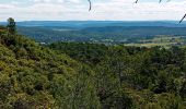 Trail Walking Lauret - Claret 2 - Photo 2