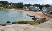 Tocht Stappen Perros-Guirec - ploanavh - Photo 3