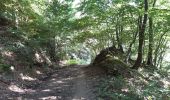 Excursión Senderismo Theux - les digues . etang de chawion . devant staneux . les digues - Photo 1