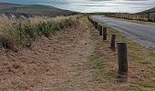 Trail Walking Sangatte - sangatte - cap blanc nez via les terres, retour par les falaise - Photo 15