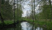 Trail Walking Chimay - A la découverte de Lompret 🥾 - Photo 8