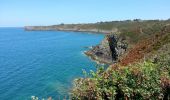 Excursión Senderismo Cancale - Cancale Port Mer - 15.3km 290m 5h05 - 2017 06 19 - Photo 13