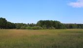 Excursión A pie Schlepzig - Wanderweg Krausnik-Schlepzig (gelber Balken) - Photo 7