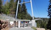 Tocht Stappen Bad Wildbad - Baumwipfelpfad et Wildline à Bad Wildbad dans le Schwarzwald - Photo 5