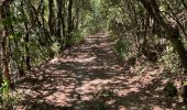 Tour Wandern La Roque-sur-Cèze - Cascades du Sautadet, maquis et village de Roque-sur-Cèze  - Photo 9