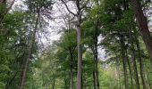 Tour Zu Fuß Idstein - Rundwanderweg Pilz - Photo 1