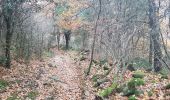 Trail Walking Octon - Octon - Ruines de Lauzières - Chapelle ND de Roubignac - Photo 18