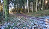 Tocht Stappen Vieux-Moulin - Circuit: Vieux-Moulin - Ortomont Bourg- Menil de Senones- Vieux-Moulin - Photo 17