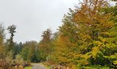 Randonnée Marche Eupen - Barrage d'Eupen - Photo 5