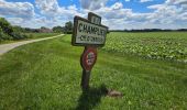 Tour Zu Fuß Morienval - Morienval- Crepy en Valois par la vallée de l'Automne - Photo 13