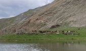 Trail Walking Vallouise-Pelvoux - Lac de Puy Aillaud depuis village de Puy Aillaud  - Photo 2