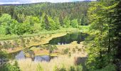 Tour Wandern Séchilienne - Réserve naturelle du lac Luitel - Photo 1