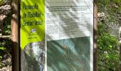 Trail Walking Aiguines - La Maline-Imbut-Vidal - Photo 11