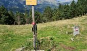 Trail Walking Prats-de-Mollo-la-Preste - Le Chalet  -La Forge  -Col Pregon -Col de Siern  - Le  Chalet . - Photo 3