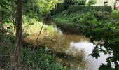 Trail On foot Dorfchemnitz - Gelber Balken Region BED, Mulda, Frauenstein - Photo 6