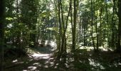 Trail Walking Proveysieux - Planfay_Aiguille de Quaix - Photo 13