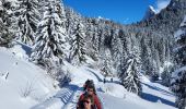Tocht Sneeuwschoenen La Chapelle-d'Abondance - Raquettes 5ème jour 14km - Photo 1