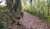 Trail Walking Namur - Wepion 211123 - Photo 9