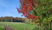 Tour Wandern Braine-le-Château - Braine le château - Photo 1