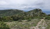 Tocht Stappen Pourrières - le mont Aurélien - Photo 12