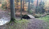 Tour Mountainbike Lachapelle - VTT avec David et Joel au Col de la Chipotte 10/11/19 - Photo 1