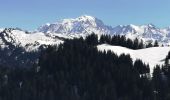 Excursión Raquetas de nieve La Giettaz - traversée par la croix et crêtes des frètes  - Photo 3