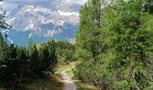 Excursión A pie Cortina d'Ampezzo - (SI B05) Albergo Rifugio Ospitale - Misurina - Photo 9