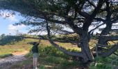 Trail Walking Bergen (NH) - Schoorl - Duinen - Photo 6