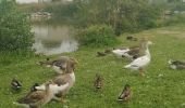 Randonnée Trail Hazebrouck - 12 km Hazebrouck nature  - Photo 20