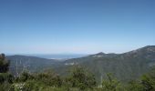 Randonnée Marche Campile - Boucle de Monte Castellare - Photo 10