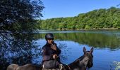 Trail Horseback riding Arfons - arfons4 - Photo 1