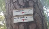 Tour Wandern Wasselnheim - Geisweg - Elmerforst -Westhoffen - Photo 17