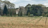 Percorso Marcia Aniane - À l’âne château Capion - Photo 1