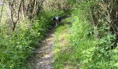 Trail Walking Aix-en-Issart - Sentier du paradis - Photo 5