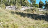 Tour Wandern Lardiers - lardiers. du grand chêne à la bergerie  inconnue - Photo 6