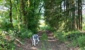 Trail Walking Neufchâteau - Tronquoy - Respelt - Photo 13