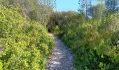 Trail Walking Aramon - aramon - les castillonnes  - Photo 15