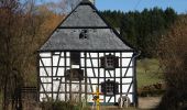 Tour Zu Fuß Gehlweiler - Traumschleife Heimat - Photo 5